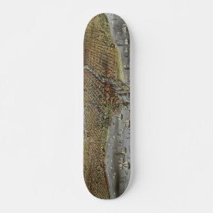 Skateboard La ville de Chicago Illinois à partir de 1874