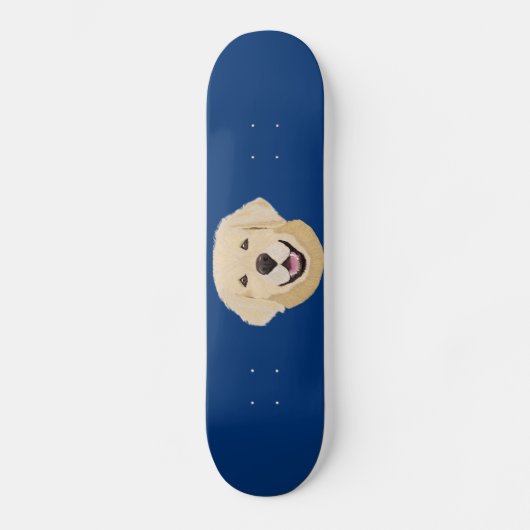 Skateboard Laboratoire d'or (Recto)
