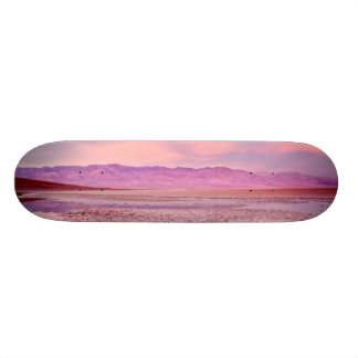 Skateboard Lac Death Valley water