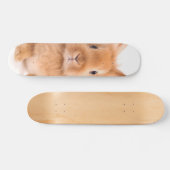 Skateboard Lapin (Horz)