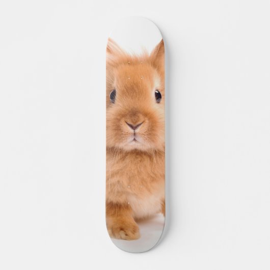 Skateboard Lapin (Devant)