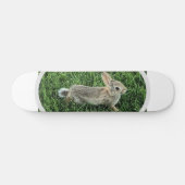 Skateboard Lapin Mignon (Horz)