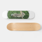 Skateboard Lapin Mignon (Horz)