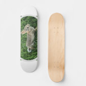 Skateboard Lapin Mignon (Recto)