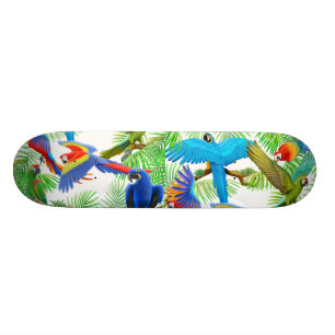 Skateboard L'ara coloré Parrots la planche à roulettes