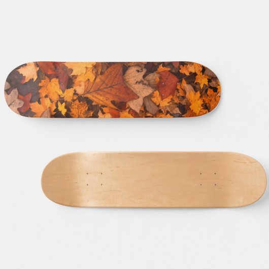 Skateboard l'automne (Horz)