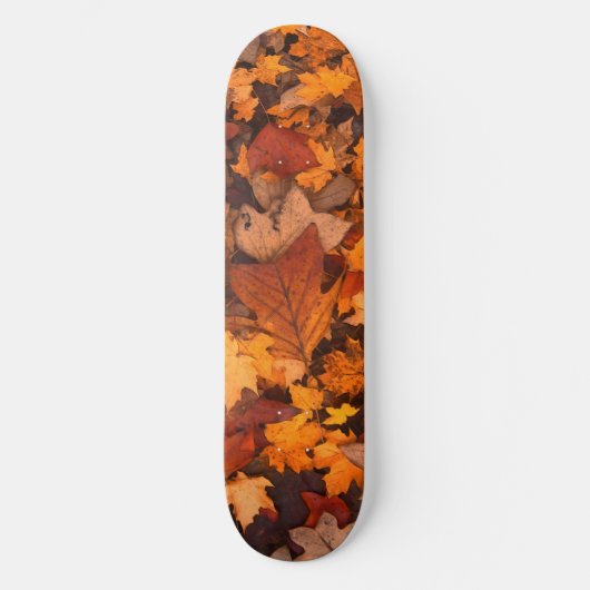 Skateboard l'automne (Recto)