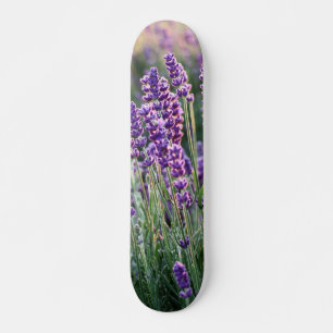 Skateboard Lavande Lusace