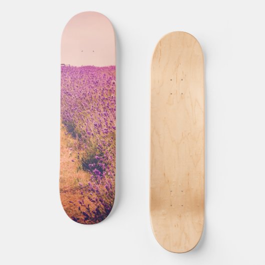 Skateboard Lavander (Recto)
