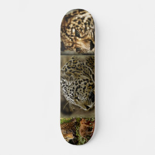Skateboard Le chat sauvage de Jaguar repère le destin