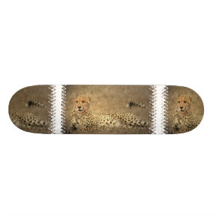 Skateboard Le guépard repère la planche à roulettes