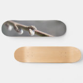 Skateboard Le printemps arrive (Horz)