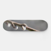 Skateboard Le printemps arrive (Horz)