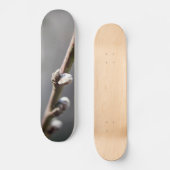 Skateboard Le printemps arrive (Recto)
