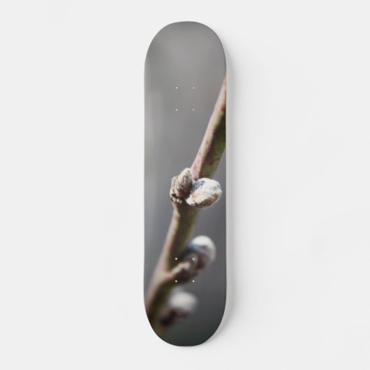 Skateboard Le printemps arrive (Recto)