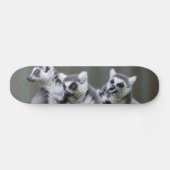 SKATEBOARD LEMURIENS SAUTEURS (Horz)