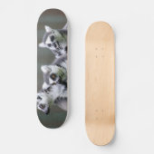 SKATEBOARD LEMURIENS SAUTEURS (Recto)