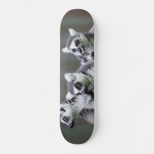 SKATEBOARD LEMURIENS SAUTEURS (Recto)