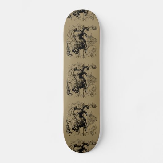 Skateboard Leo Constellation Map Hevelius 1690 sur Taupe (Recto)