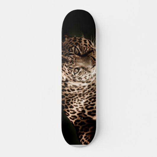 Skateboard Leopard (Devant)