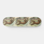 Skateboard Leopard-Cat, Felis bengalensis (Horz)
