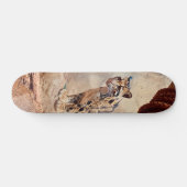 Skateboard léopard nébuleux image nature faune exotique (Horz)