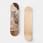 Skateboard léopard nébuleux image nature faune exotique (Recto)