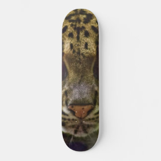 Skateboard Leopard obscurci