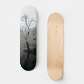Skateboard Les arbres, à l'eau (Recto)