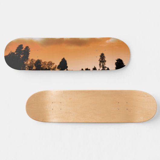 Skateboard Les arbres du soleil (Horz)