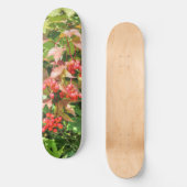 Skateboard Les canneberges de Highbush (Recto)