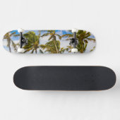 Skateboard Les cocotiers (Cocos nucifera) se balancent dans (Horz)