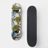 Skateboard Les cocotiers (Cocos nucifera) se balancent dans (Recto)
