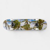 Skateboard Les cocotiers (Cocos nucifera) se balancent dans (Horz)
