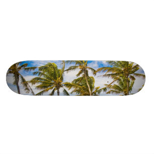 Skateboard Les cocotiers (Cocos nucifera) se balancent dans