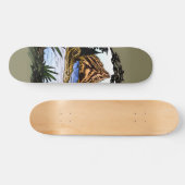 Skateboard L'Extérieur (Horz)