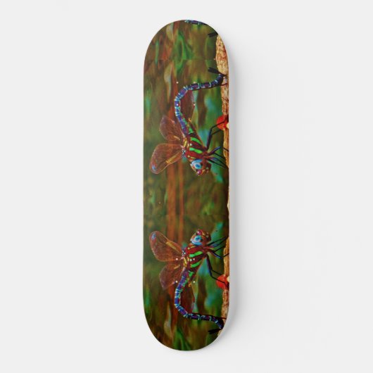 Skateboard libellule arc-en-ciel, libellule Turquoise et viol (Recto)