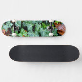 Skateboard Lierre et pierre de champ (Horz)