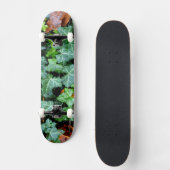 Skateboard Lierre et pierre de champ (Recto)