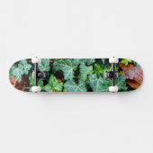 Skateboard Lierre et pierre de champ (Horz)