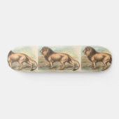 Skateboard Lion, Felis leo (Horz)