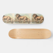 Skateboard Lion, Felis leo (Horz)