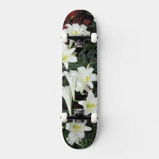 Skateboard Lis de Pâques (Lilium regale) (Recto)