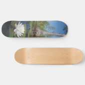Skateboard Lit d'eau 2 (Horz)