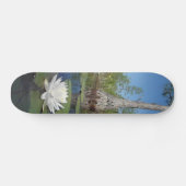 Skateboard Lit d'eau 2 (Horz)