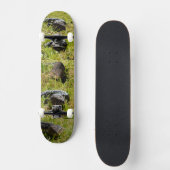 Skateboard Lizards de langue bleue australienne, jeu de skate (Recto)
