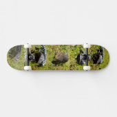 Skateboard Lizards de langue bleue australienne, jeu de skate (Horz)