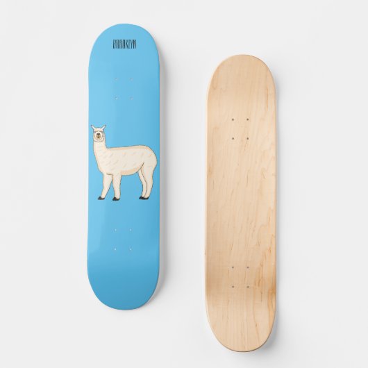 Skateboard Llama (Recto)