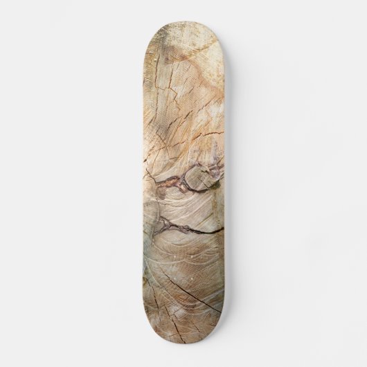 Skateboard Log pattern (Recto)