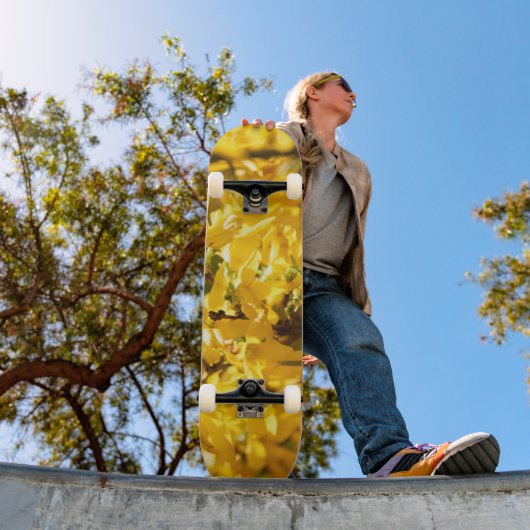 Skateboard L'or qui murmure (Extérieur 1)